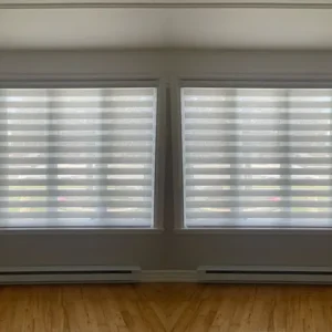 Zebra Blinds