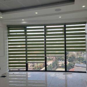 Zebra Blinds