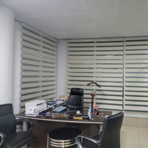 Home 16 Zebra Blinds