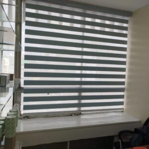 Zebra Blinds