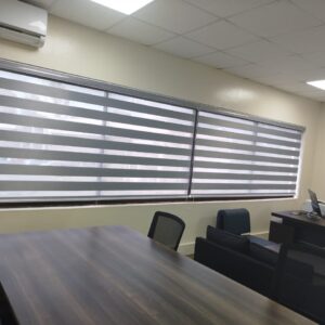 Zebra Blinds
