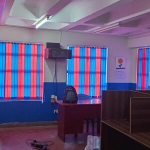 Vertical Blinds